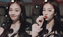 娱乐圈小黑爆料白鹿,真相究竟如何？